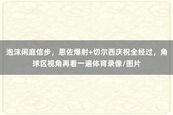 泡沫闲庭信步，恩佐爆射+切尔西庆祝全经过，角球区视角再看一遍体育录像/图片