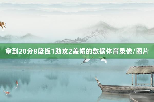 拿到20分8篮板1助攻2盖帽的数据体育录像/图片