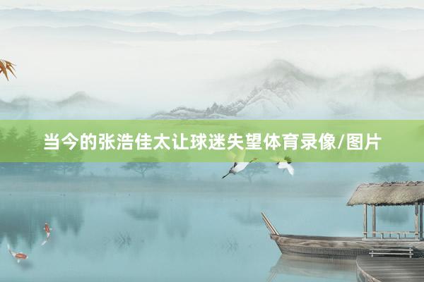 当今的张浩佳太让球迷失望体育录像/图片