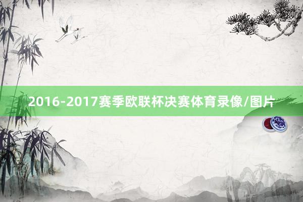 2016-2017赛季欧联杯决赛体育录像/图片