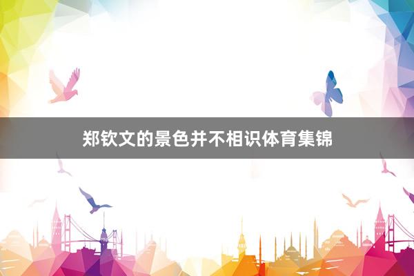 郑钦文的景色并不相识体育集锦