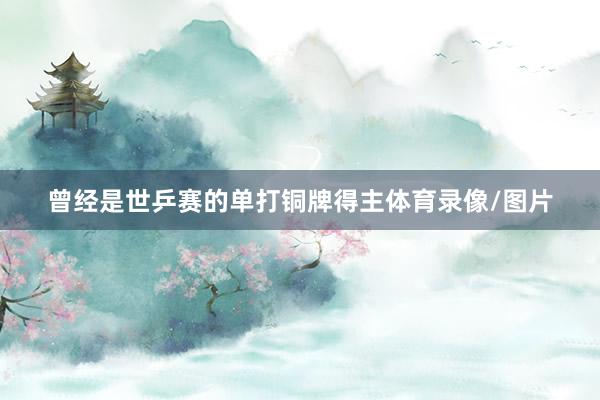 曾经是世乒赛的单打铜牌得主体育录像/图片