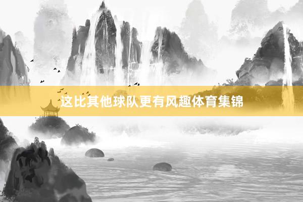 这比其他球队更有风趣体育集锦