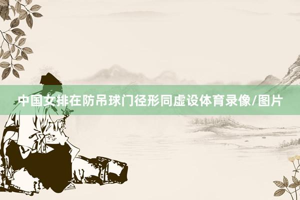 中国女排在防吊球门径形同虚设体育录像/图片