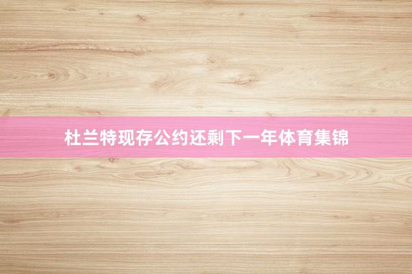 杜兰特现存公约还剩下一年体育集锦