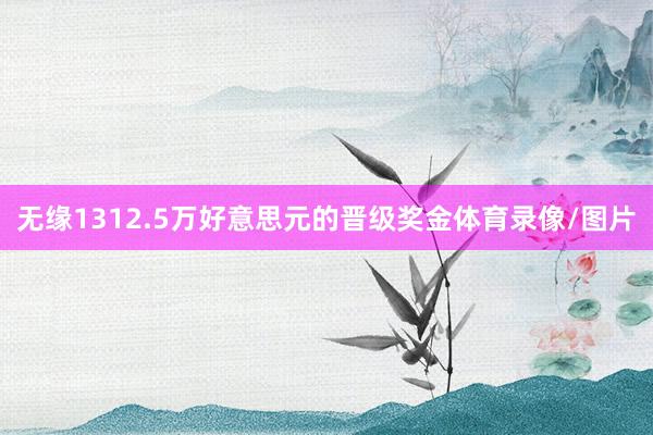 无缘1312.5万好意思元的晋级奖金体育录像/图片