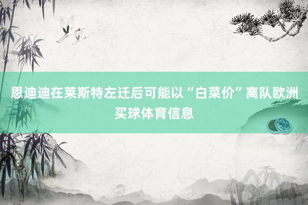恩迪迪在莱斯特左迁后可能以“白菜价”离队欧洲买球体育信息