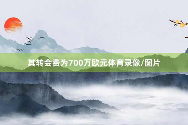 其转会费为700万欧元体育录像/图片