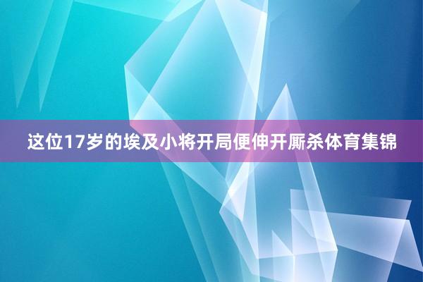 这位17岁的埃及小将开局便伸开厮杀体育集锦