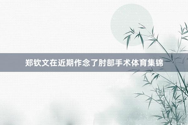 郑钦文在近期作念了肘部手术体育集锦