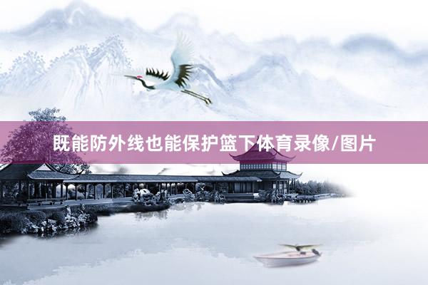 既能防外线也能保护篮下体育录像/图片