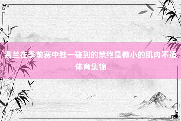 费兰在季前赛中独一碰到的禁绝是微小的肌肉不适体育集锦