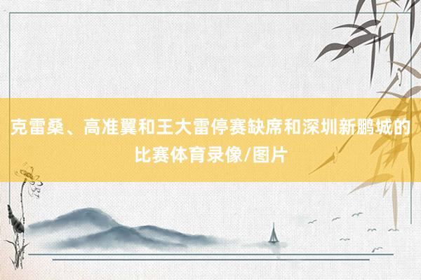 克雷桑、高准翼和王大雷停赛缺席和深圳新鹏城的比赛体育录像/图片