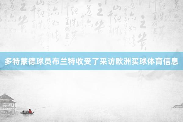 多特蒙德球员布兰特收受了采访欧洲买球体育信息