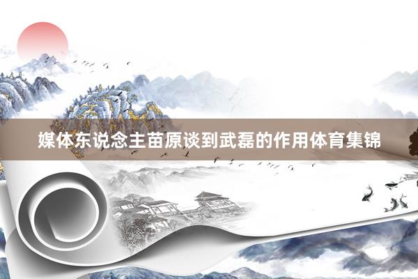 媒体东说念主苗原谈到武磊的作用体育集锦