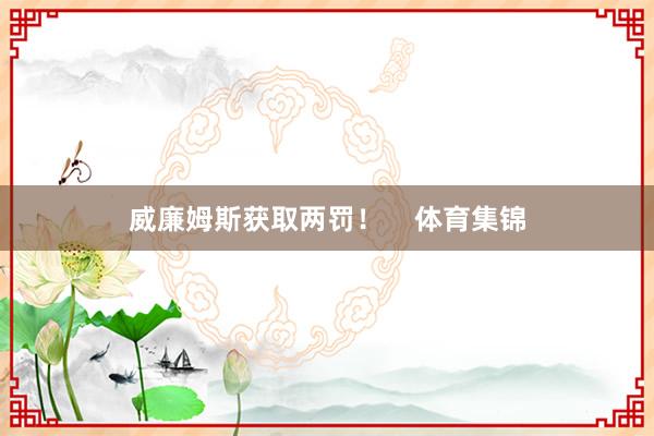 威廉姆斯获取两罚！    体育集锦