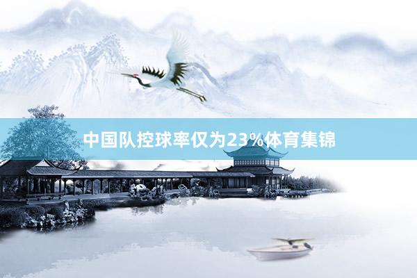 中国队控球率仅为23%体育集锦