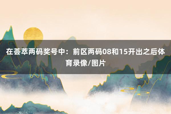 在荟萃两码奖号中：　　前区两码08和15开出之后体育录像/图片