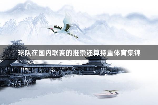 球队在国内联赛的推崇还算持重体育集锦