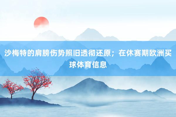 沙梅特的肩膀伤势照旧透彻还原；在休赛期欧洲买球体育信息