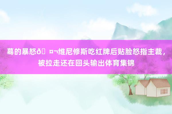 蓦的暴怒🤬维尼修斯吃红牌后贴脸怒指主裁，被拉走还在回头输出体育集锦