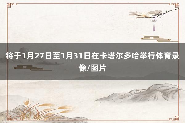 将于1月27日至1月31日在卡塔尔多哈举行体育录像/图片
