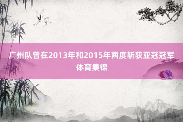广州队曾在2013年和2015年两度斩获亚冠冠军体育集锦