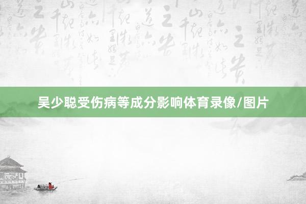 吴少聪受伤病等成分影响体育录像/图片