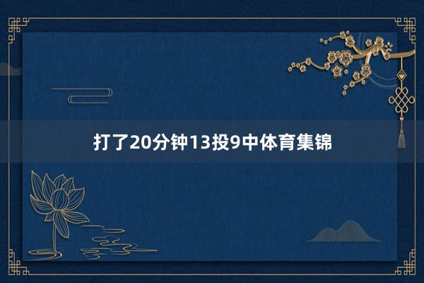 打了20分钟13投9中体育集锦