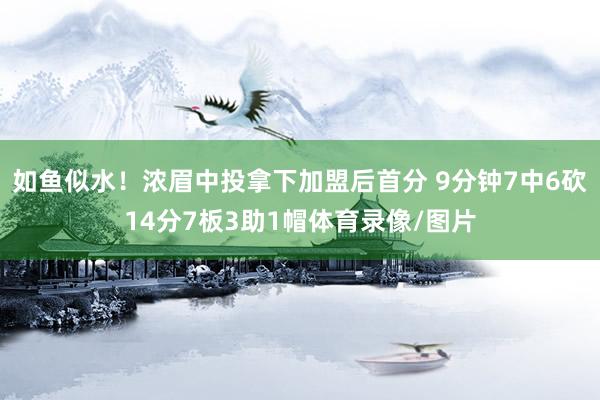 如鱼似水！浓眉中投拿下加盟后首分 9分钟7中6砍14分7板3助1帽体育录像/图片
