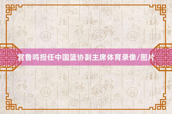 宫鲁鸣担任中国篮协副主席体育录像/图片