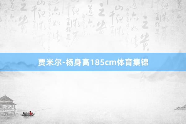 贾米尔-杨身高185cm体育集锦