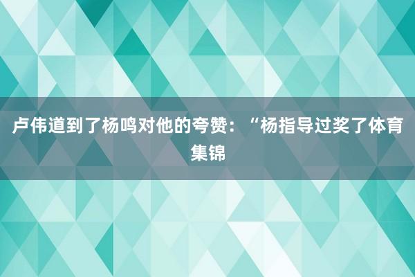 卢伟道到了杨鸣对他的夸赞：“杨指导过奖了体育集锦