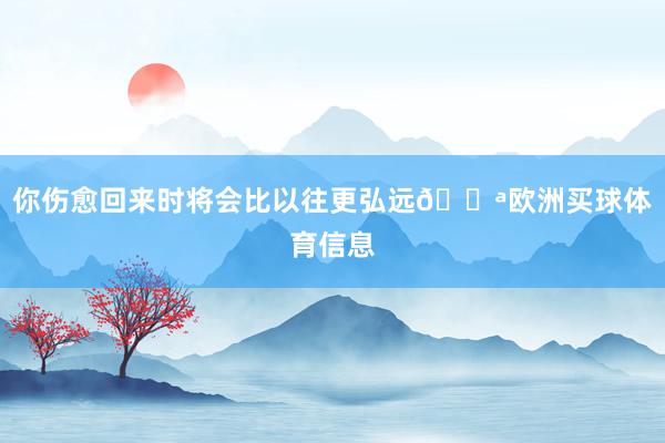 你伤愈回来时将会比以往更弘远💪欧洲买球体育信息